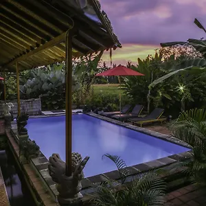 Soca House Pensión